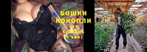 винт Арсеньев