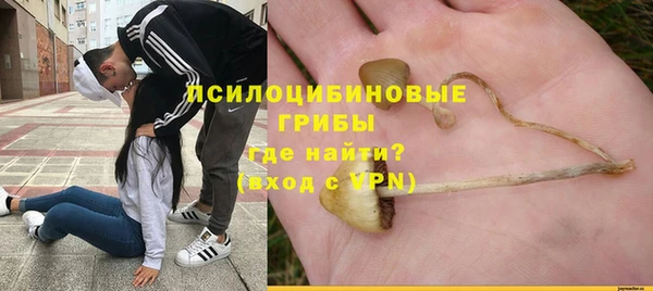 mdpv Армянск