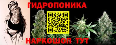 дживик Будённовск