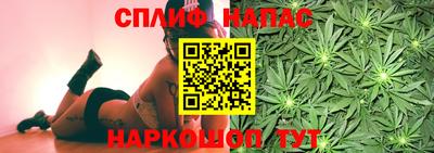 дживик Будённовск