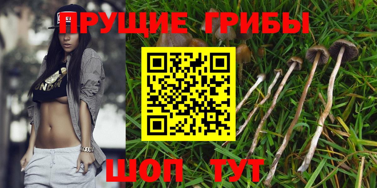 Псилоцибиновые грибы Magic Shrooms  Вход с VPN  сколько стоит  Изобильный 